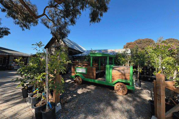 Cambria Pine Lodge Nursery