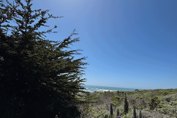 Moonstone Beach Boardwalk Moonstone Stecaverse